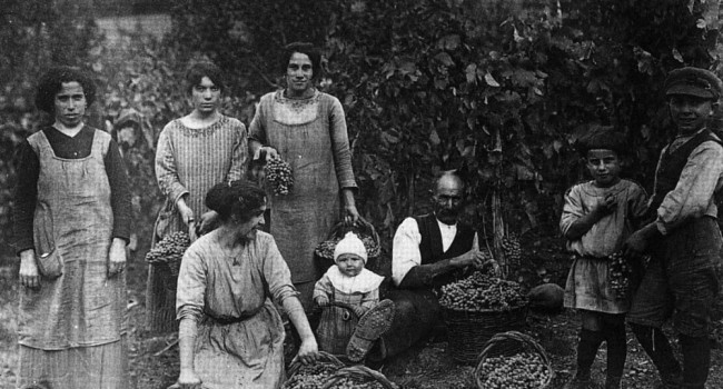 alimentazione durante la seconda guerra mondiale - la frutta rossa dal 1935 a 1945