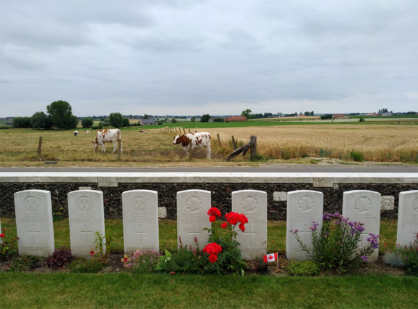 Viaggio in Belgio Prima guerra mondiale: cimitero di Tyne Cot