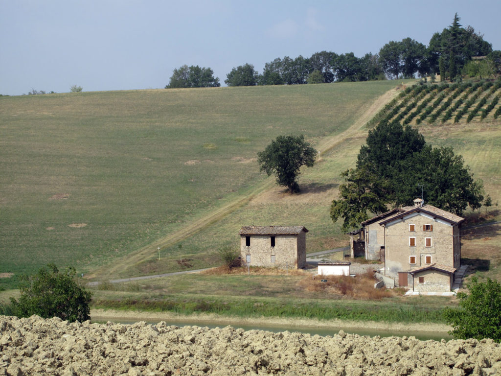 trekking letterario sulle colline di Castelvetro