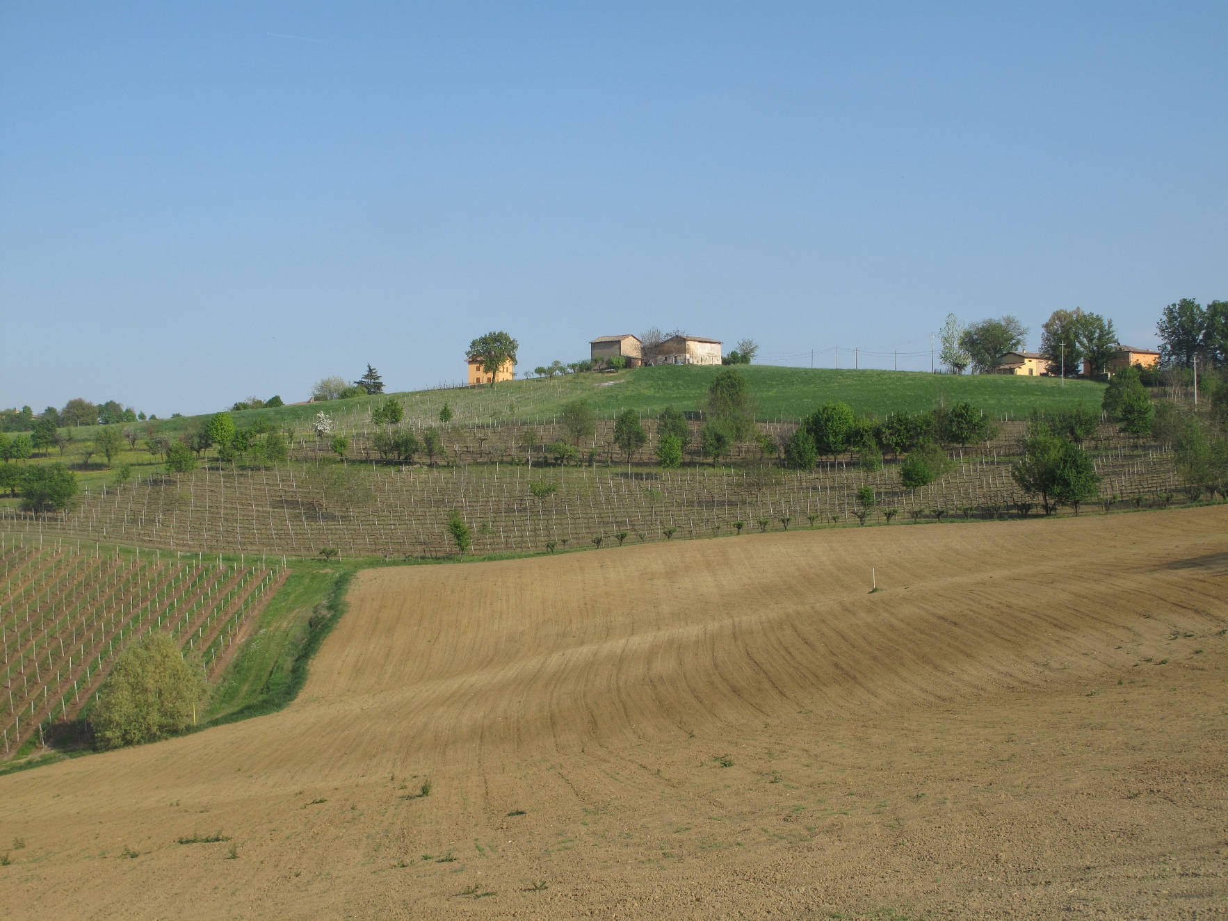 camminata letteraria Castelvetro