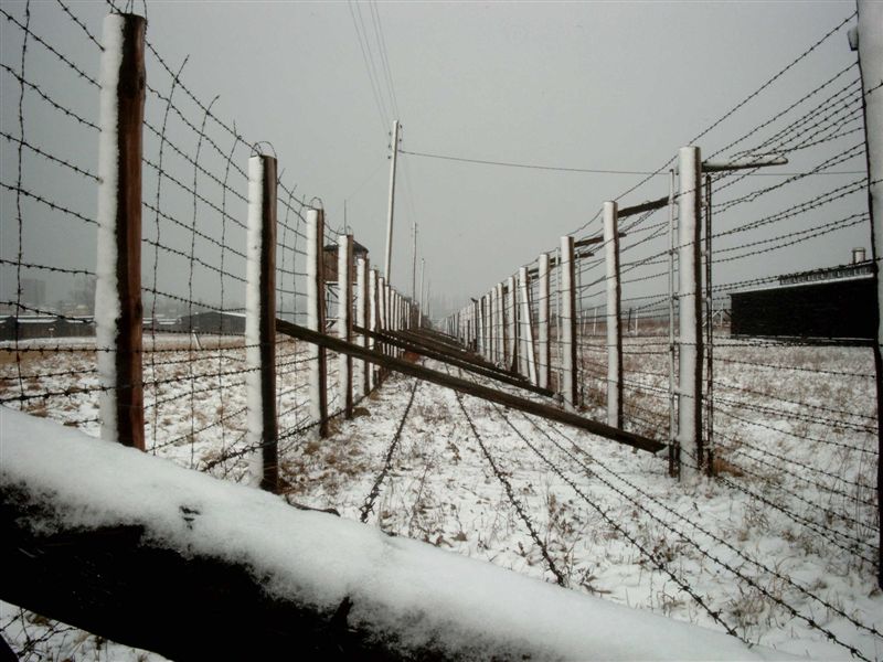 Immagine del lager di Majdanek. Dalle leggi razziali alla Shoah