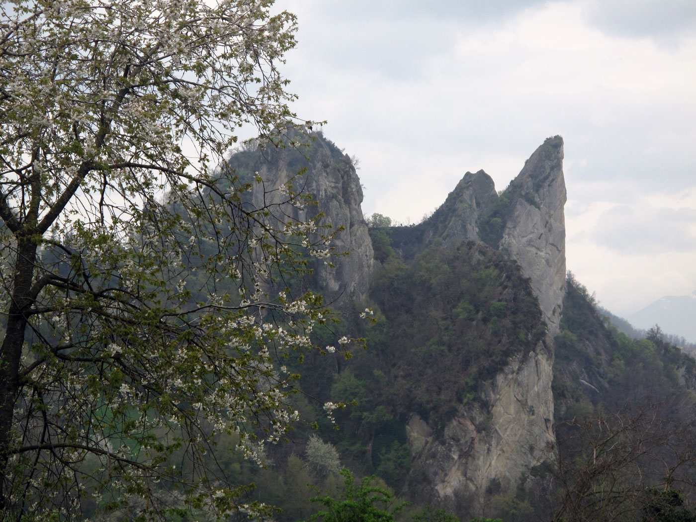 I sassi di Roccamalatina visti dalla zona di Pieve di Trebbio. Battaglia di Pieve di Trebbio