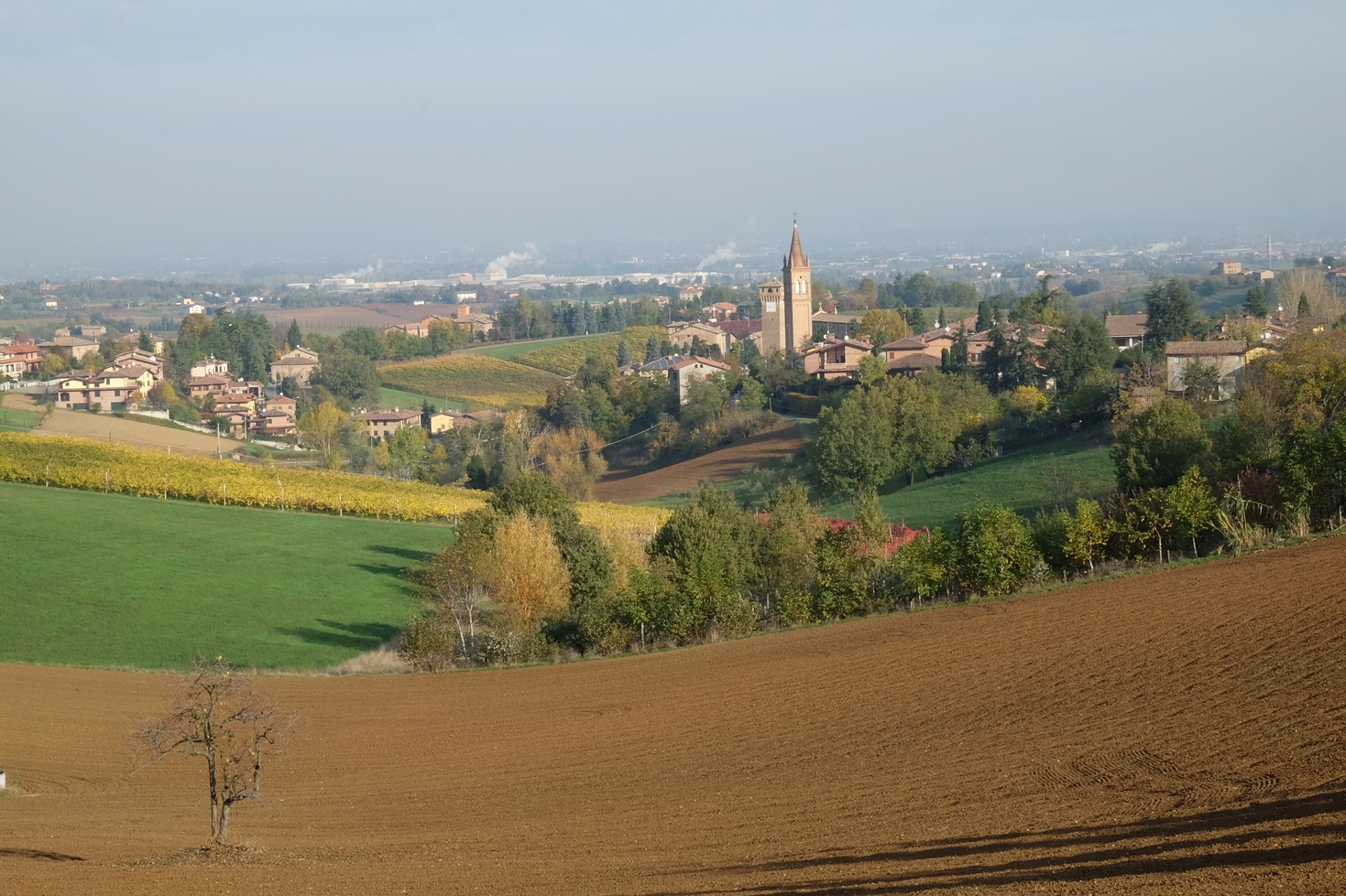 Panorama di Levizzano Rangone. Rosso Graspa. Museo del vino e della società rurale di Castelvetro