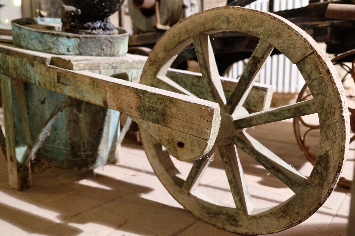 Rosso Graspa. Museo del vino e della società rurale