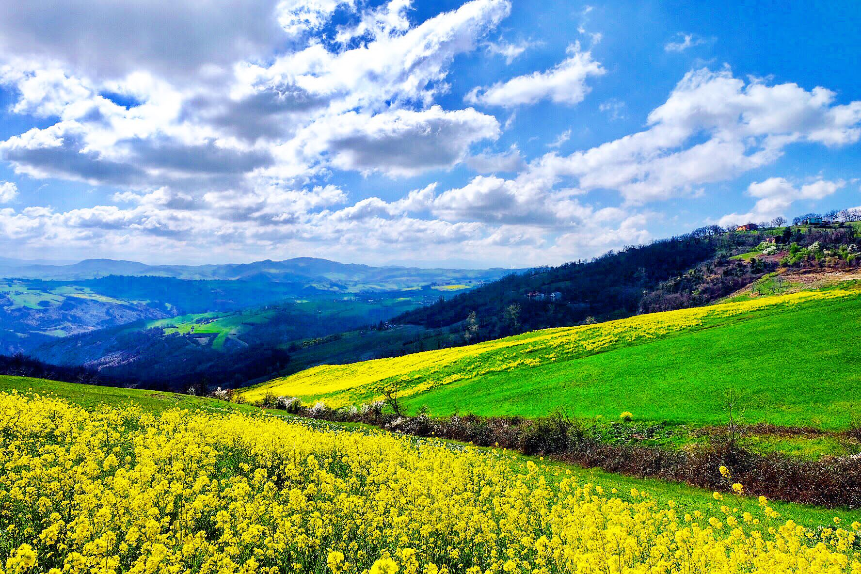 Colline a Ospitaletto di Marano. Foto di Fausto Corsini