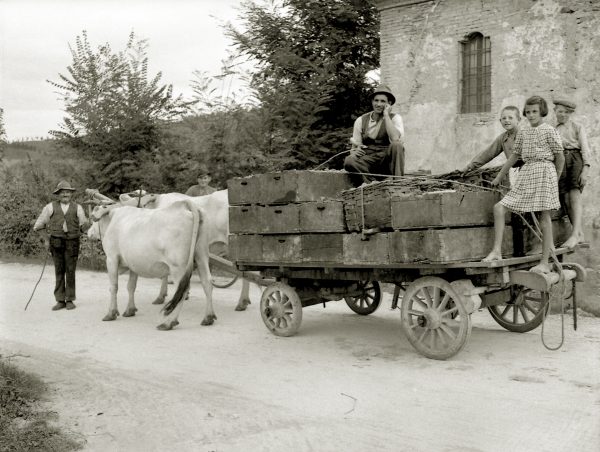 Uno scatto del fotografo Giuseppe Simonini lungo una strada di campagna a Castelvetro di Modena (anni 1930-1940). Foto tratta dall'archivio fotografico di Giuseppe Simonini, conservato in digitale presso il Gruppo di documentazione vignolese Mezaluna - Mario Menabue. (Trekking Castelvetro di Modena)