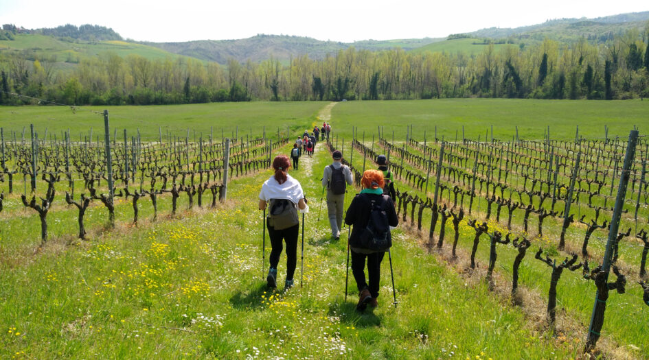 Un momento del trekking sulle colline bolognesi intorno a Ponzano (Valsamoggia) nell'aprile 2022.