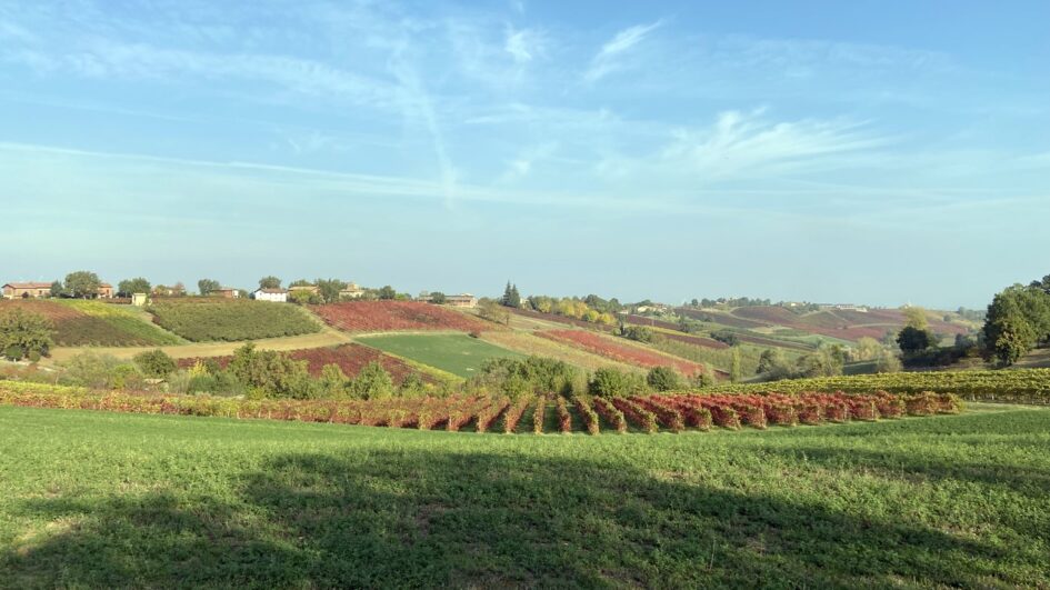 Le colline di Levizzano Rangone, dove si svolgerà la passeggiata storica sulle esperienze dei contadini nella Grande Guerra