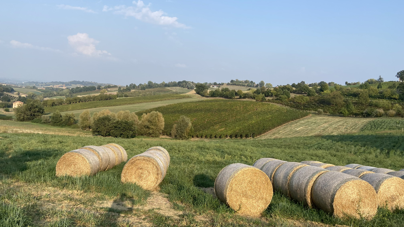 Uno dei panorami che vedremo nella passeggiata storica sulle esperienze dei contadini nella Grande Guerra